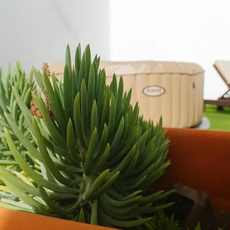 Casa Segunda 蒂亚斯